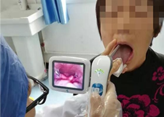 3 인치 LCD 모니터와 의학 디지털 ENT 점검 가지고 다닐 수 있는 이경 비디오 이경 검사법
