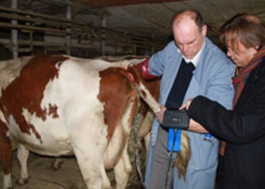 디지털 수의학 초음파 스캐너