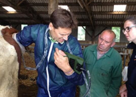 소형 수의학 초음파 스캐너