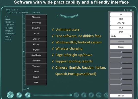 디지털 무선 휴대용 초음파 스캐너